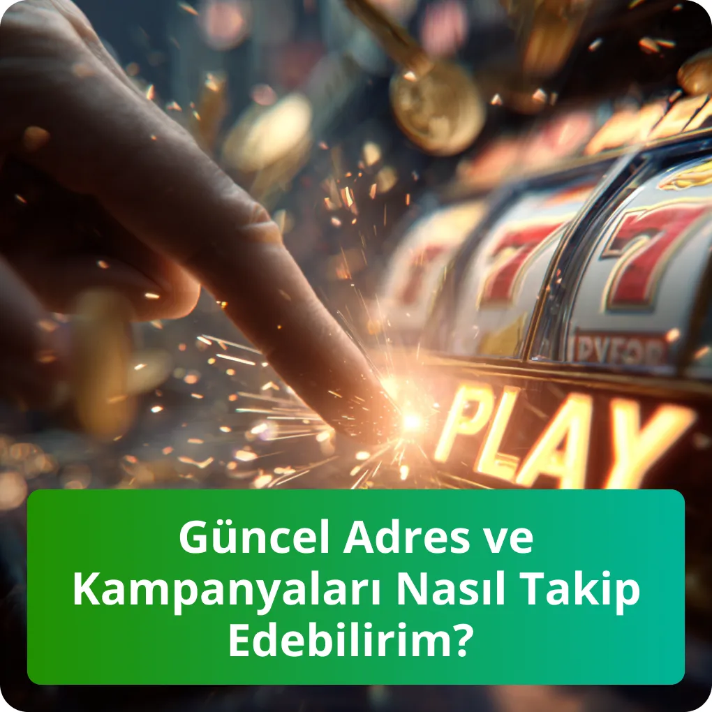 Güncel Adres ve Kampanyaları Nasıl Takip Edebilirim?